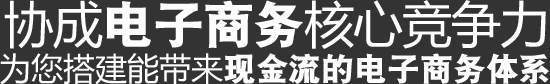 协城电子商务核心竞争力,为您搭建能带来现金流的电子商务体系