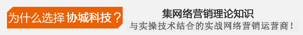 中国第一支集网络营销理论知识与实操技术完美结合的实战网络营销运营商!